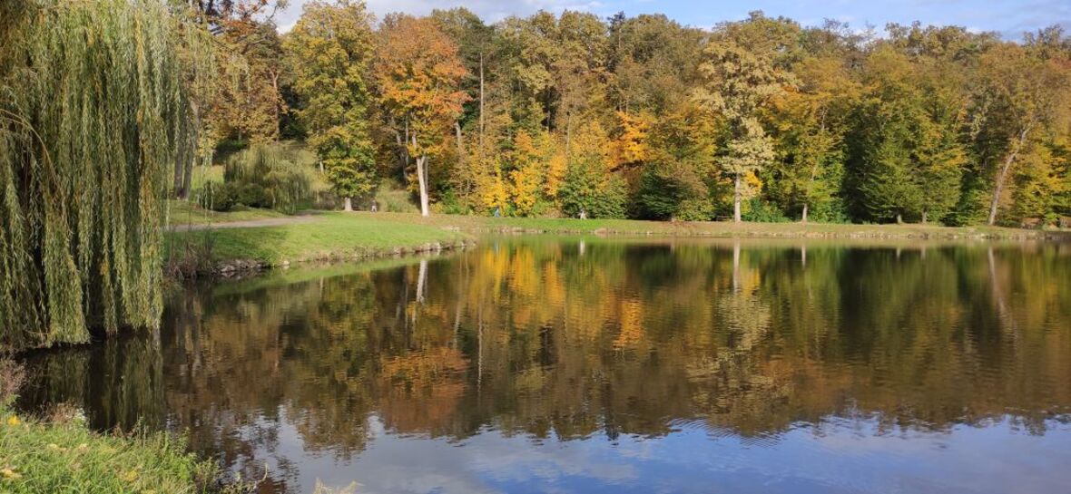 Kovács Péter Füzérradvány