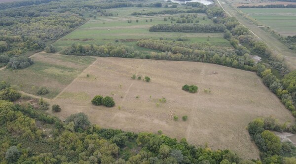 Erdőgazdálkodás_honlapra