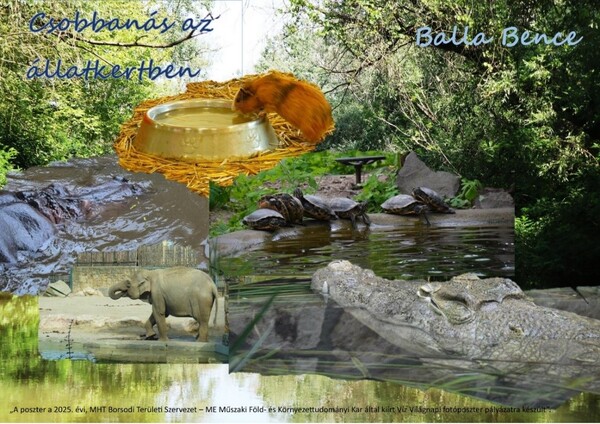 Fotoposzter nyitókép 2026